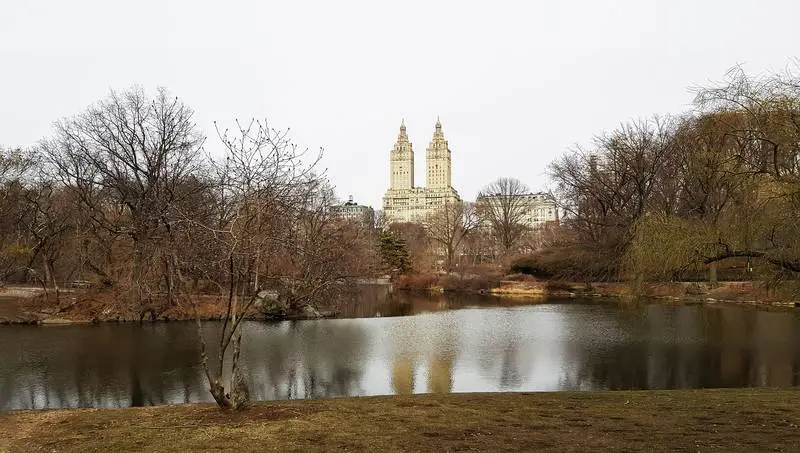 Photo of Lake in Central Park with Buildings in the Background