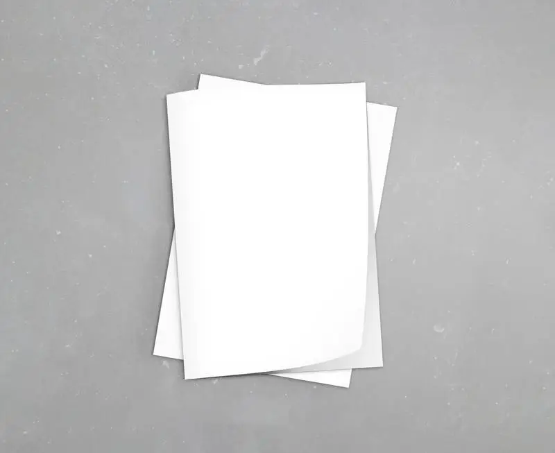 Two Plain White Brochures Over Gray Concrete Surface