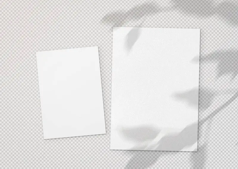 Set of A4 and A5 Sheets with Plant Shadow
