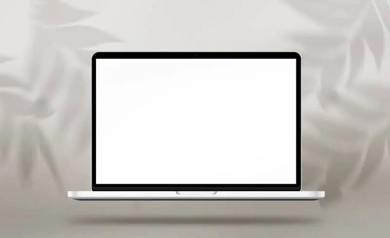Floating Laptop with Soft Plant Shadows