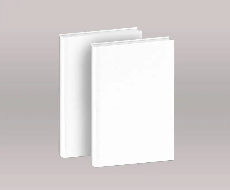 Two Plain White Books Over Light Background