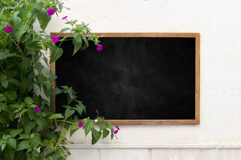 Blackboard with Plant on Wall