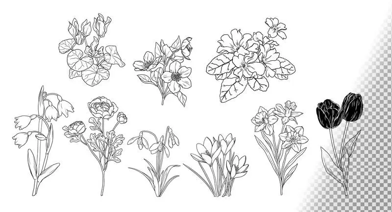 Collection of Winter Flowers Doodles