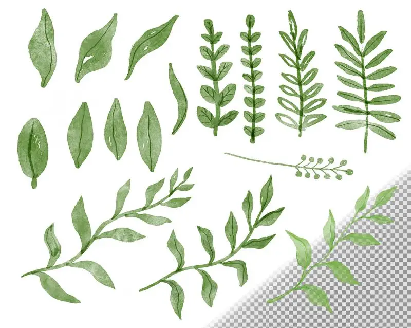 Collection of Leaves Watercolor Doodles