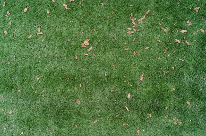 Artificial Turf Texture Photo