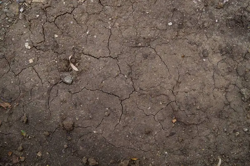 Dry Earth Soil Texture Photo
