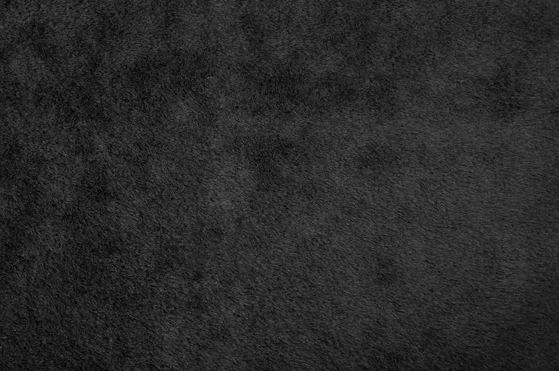 Gray Hair Texture Photo