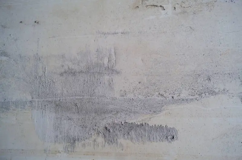 Texture of Painted Surface
