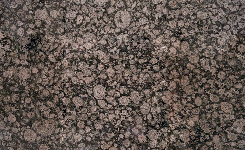 Photo of Polished Limestone Texture Background