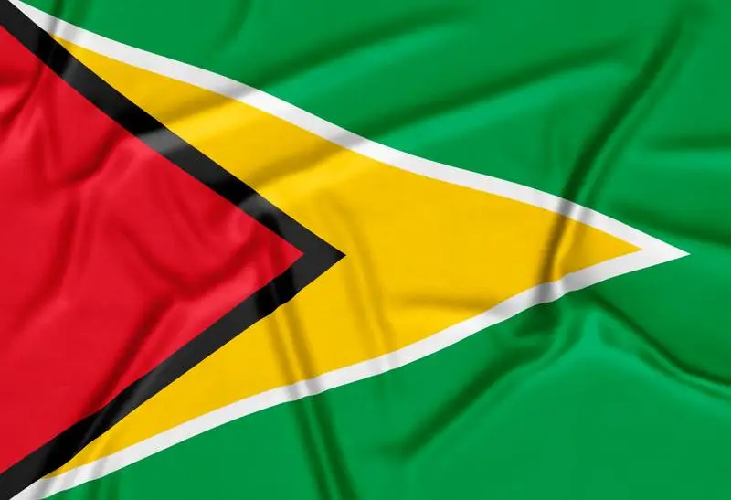 Realistic Guyana Flag Background
