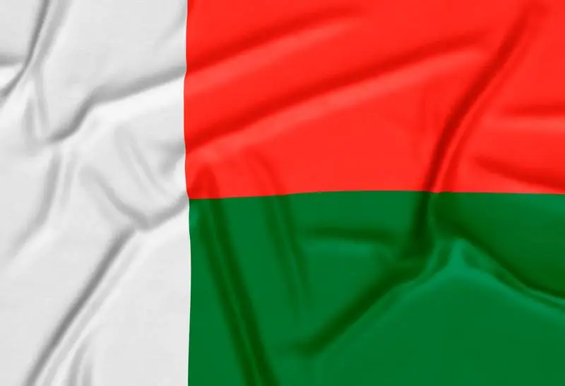 Realistic Madagascar Flag Background