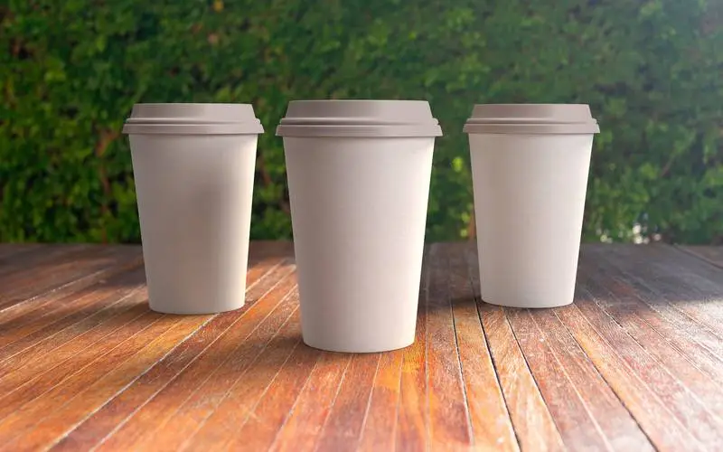 Collection of 3 Takeaway Paper Cups with Plant on Outside Background