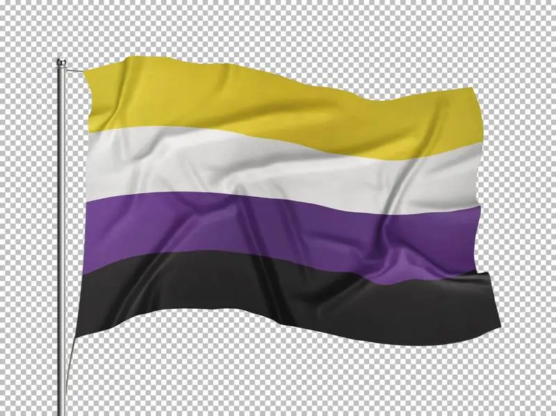 Non-Binary Flag Flying on a Flagpole on a Transparent Background
