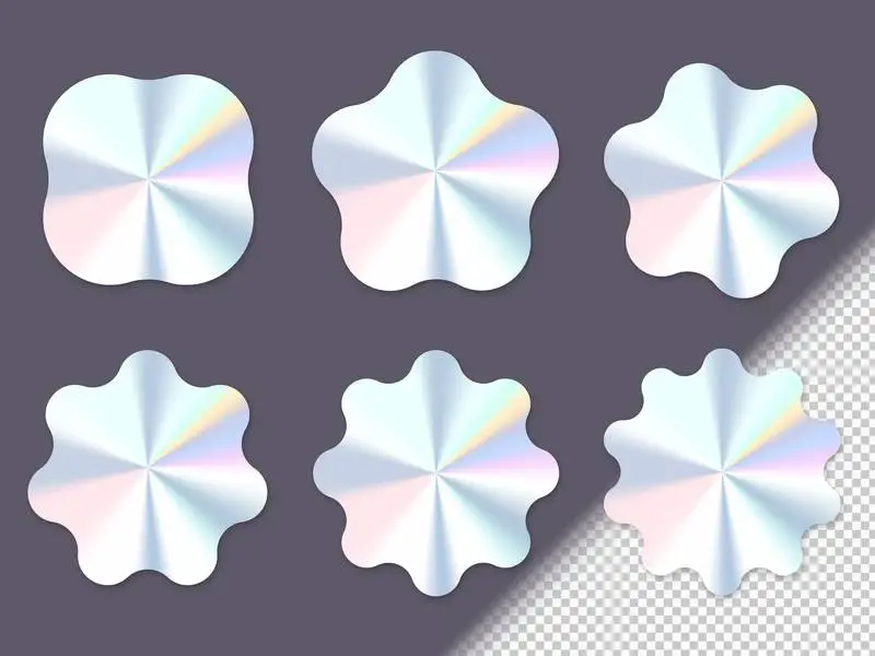 Set of Holographic Labels