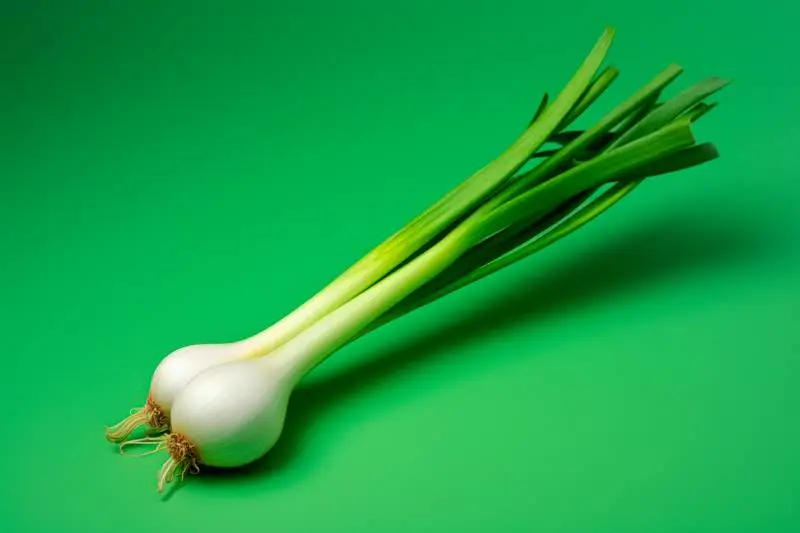 Realistic Image of a Bunch of Spring Onions on a Colourful Background