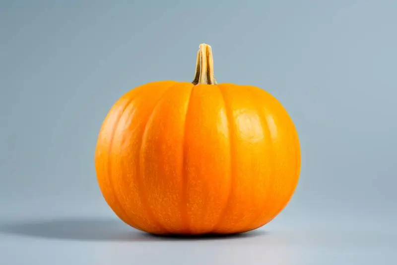 Realistic Image of a Pumpkin on a Blue Coloured Background