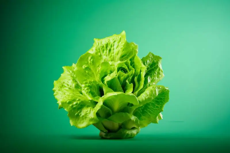 Realistic Image of Lettuce on a Green Background