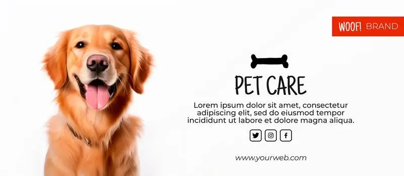 Golden Retriever Banner for Branding with Text on a White Background