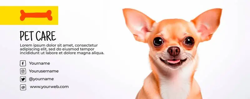 Banner of a Chihuahua with Text and Contact Info on a White Background
