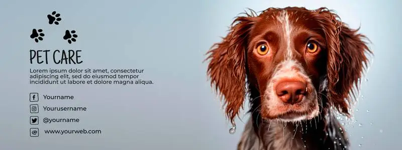 Irish Setter Banner with Information and Contact Text on a Blue Background