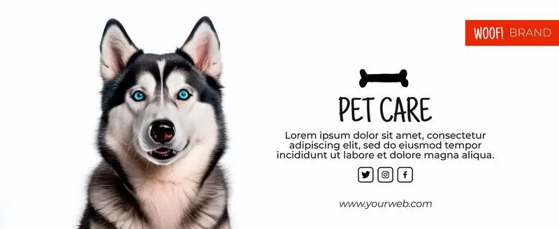 Siberian Husky Banner with Information on a White Background