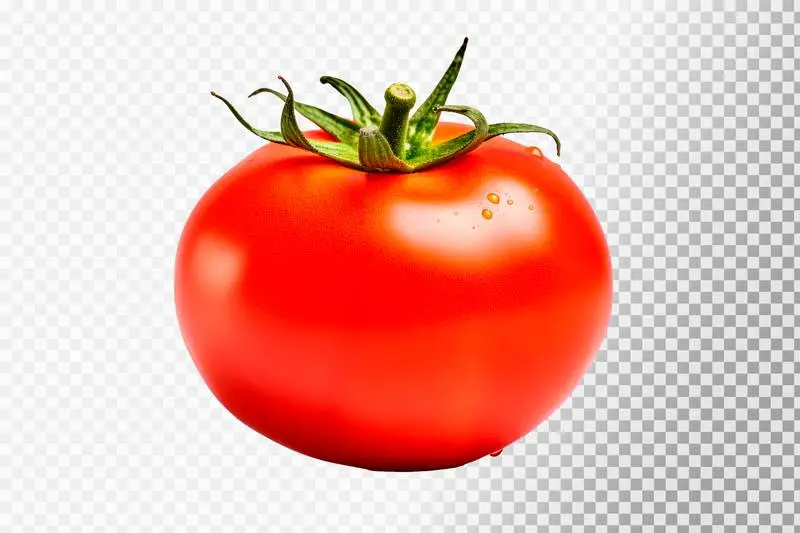 Isolated Red Fresh Tomato on a Transparent Background