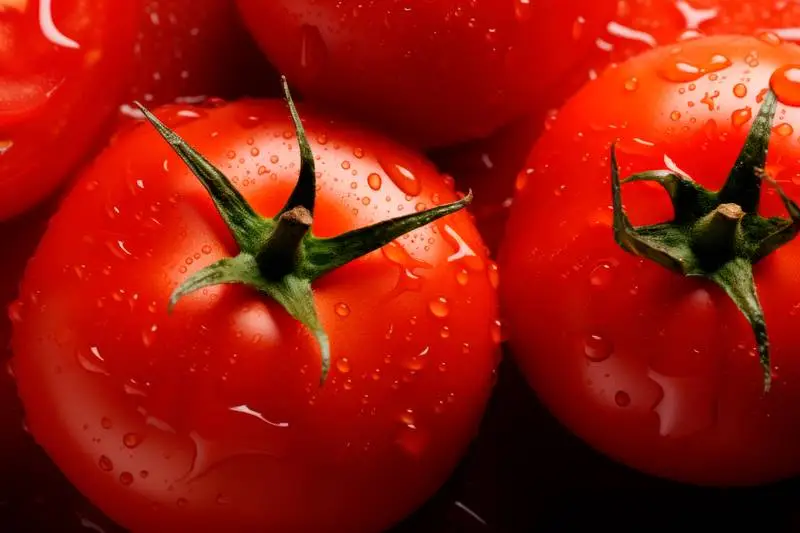 Close-Up Photo of Fresh Tomatoes with Water Drops