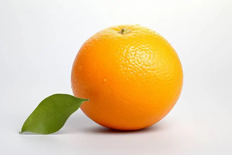 Picture of an Orange on a White Background