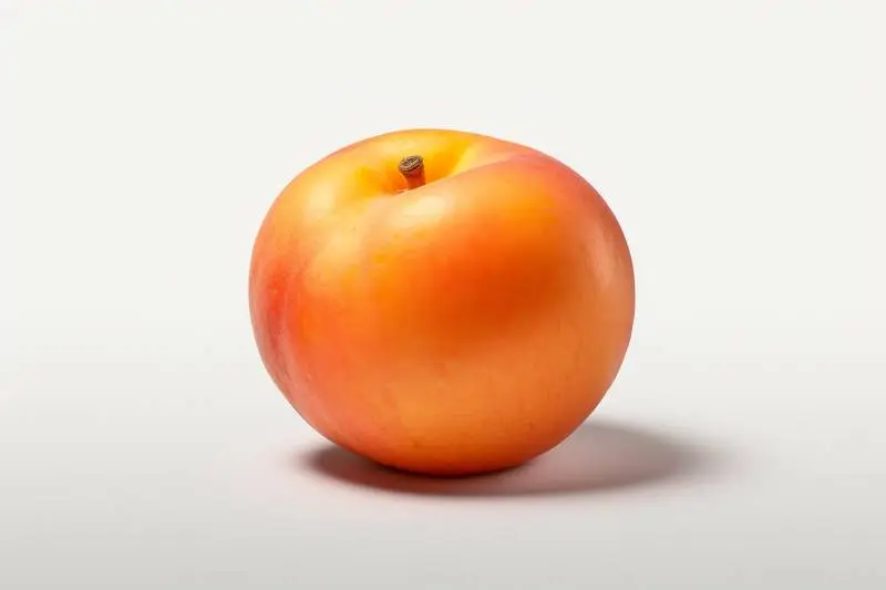 Picture of a Nice Orange Plum on a White Background