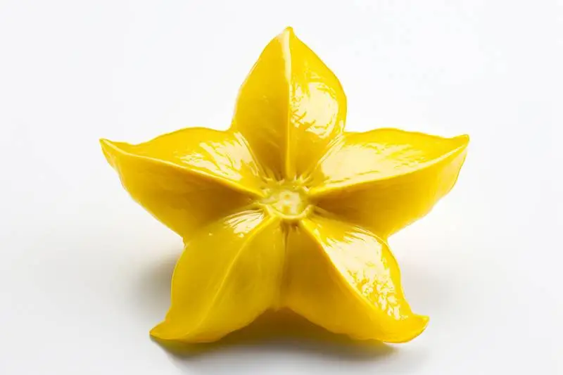 Picture of a Star Fruit on a White Background