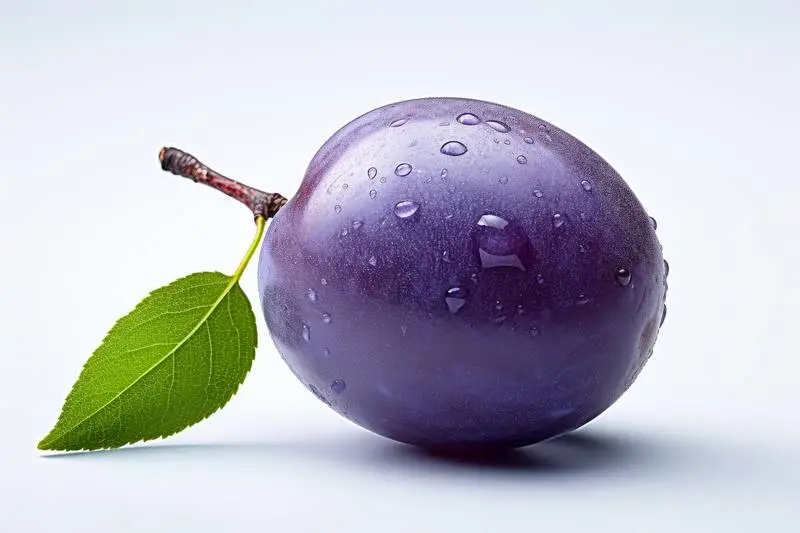 Picture of a Purple Plum with Leaf on a White Background
