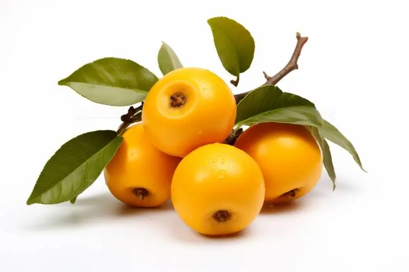 Picture of Ripe Loquats on a White Background