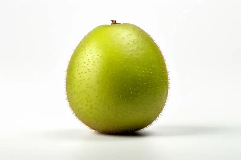 Picture of a Single Kiwi Fruit on a White Background