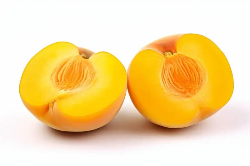 Picture of an Apricot Cut in Half on a White Background