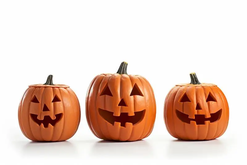 Pumpkin Collection Image on a White Background
