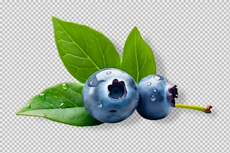 Photo of Some Blueberries Isolated on Transparent Background