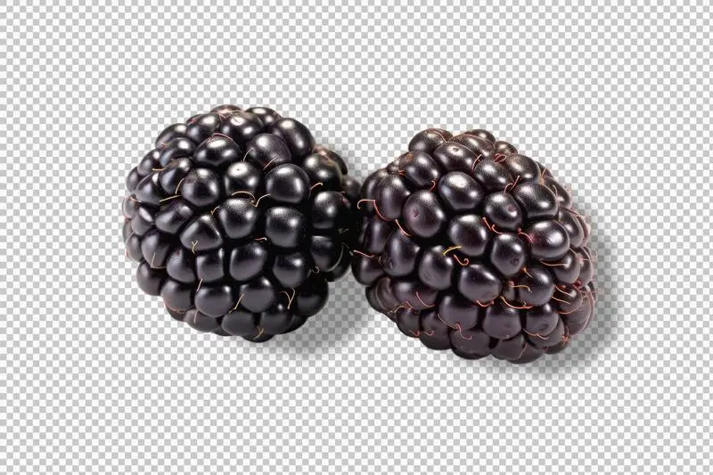 Photo of two blackberries isolated on transparent background