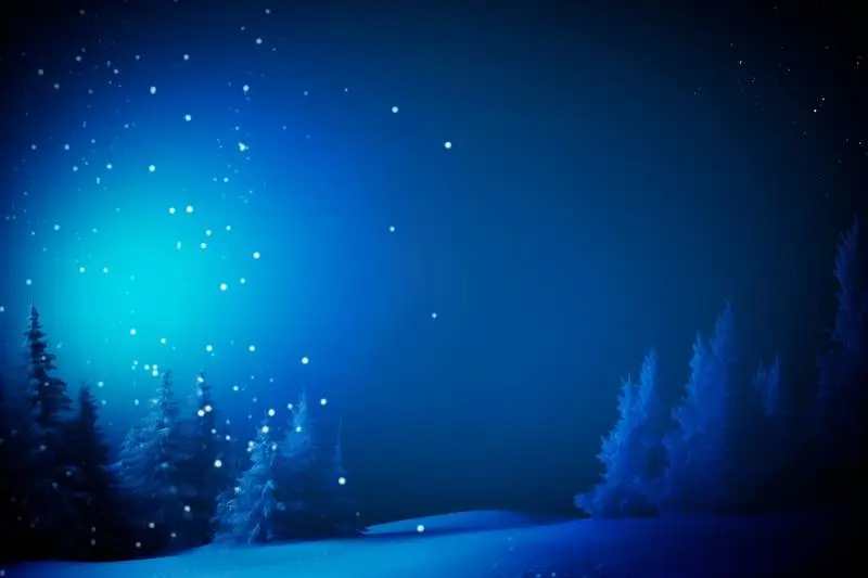 Image of Scene Christmas on Snowy Forest Background at Night