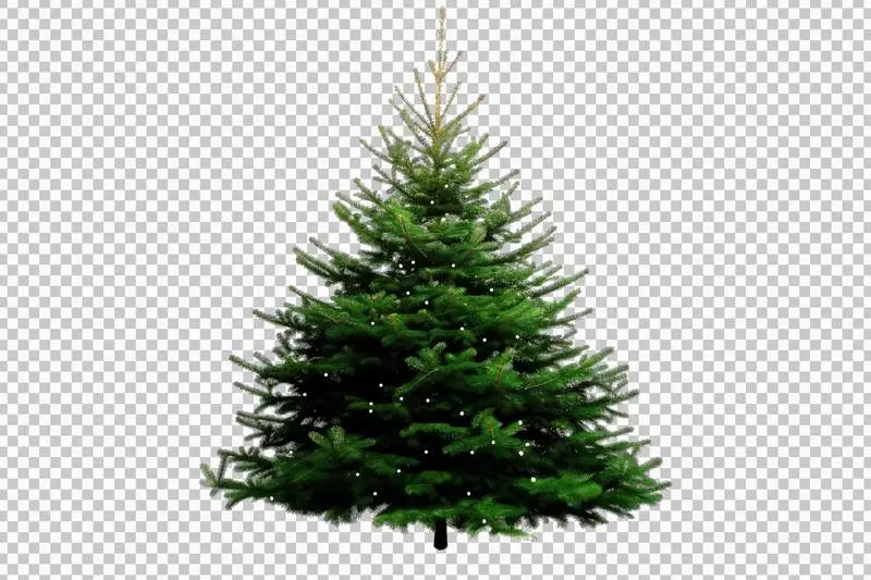 Isolated Photo of Fir Tree With Christmas Lights on Transparent Background