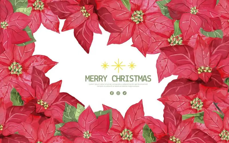 Christmas Banner With Red Flowers in Watercolour With Text on a White Background