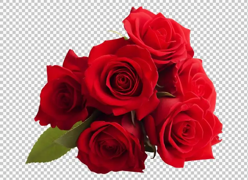 A Bouquet of Beautiful Red Roses Isolated on Transparent Background