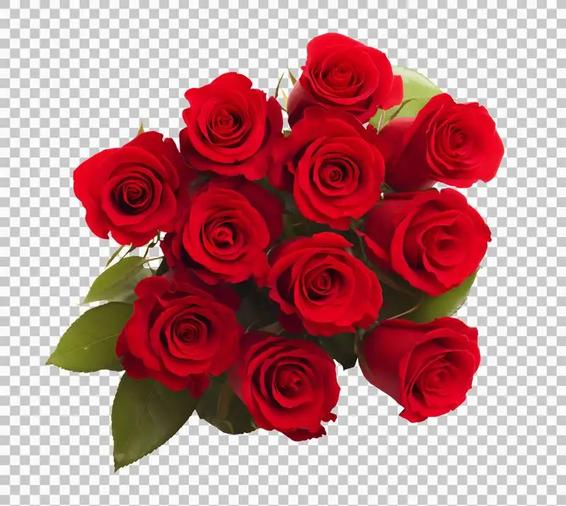 Bouquet of Beautiful Red Roses Isolated on Transparent Background