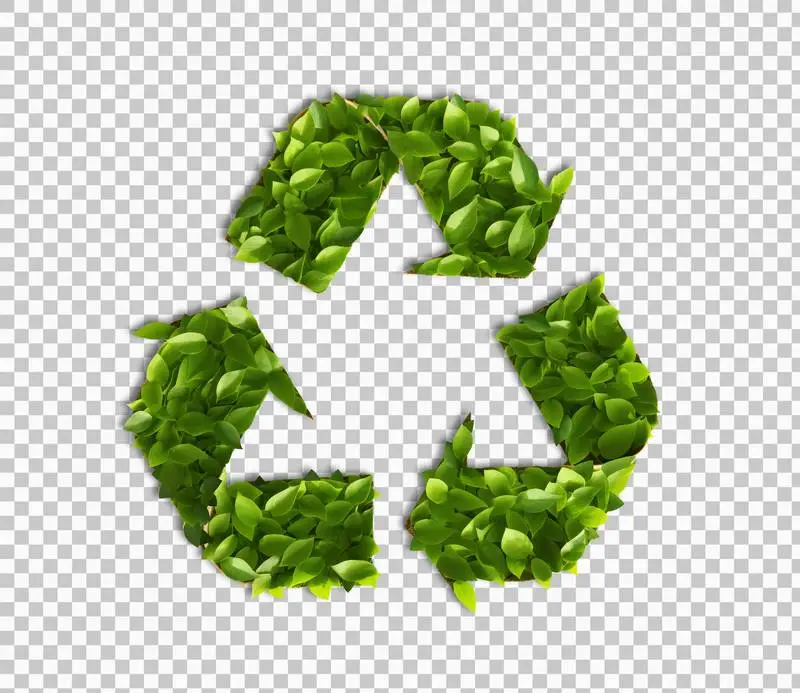 Recycling Symbol Made of Green Leaves Isolated on Transparent Background