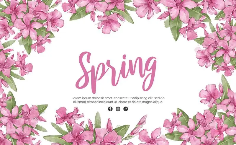 Banner with Text for Spring on White Background with Pink Flowers