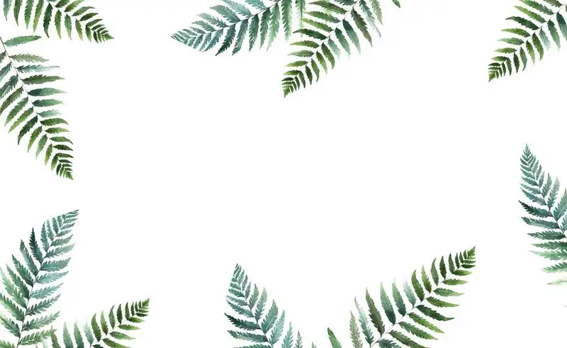 Collection with Watercolour Illustrations of Fern Leaves on a Transparent Background