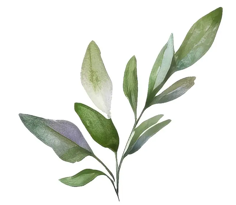 Isolated Watercolour Illustration of Beautiful Green Branch with Leaves on Transparent Background