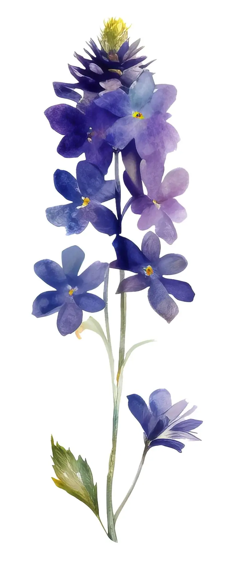 Isolated Watercolour Illustration of Bouquet of Purple Flowers on Transparent Background