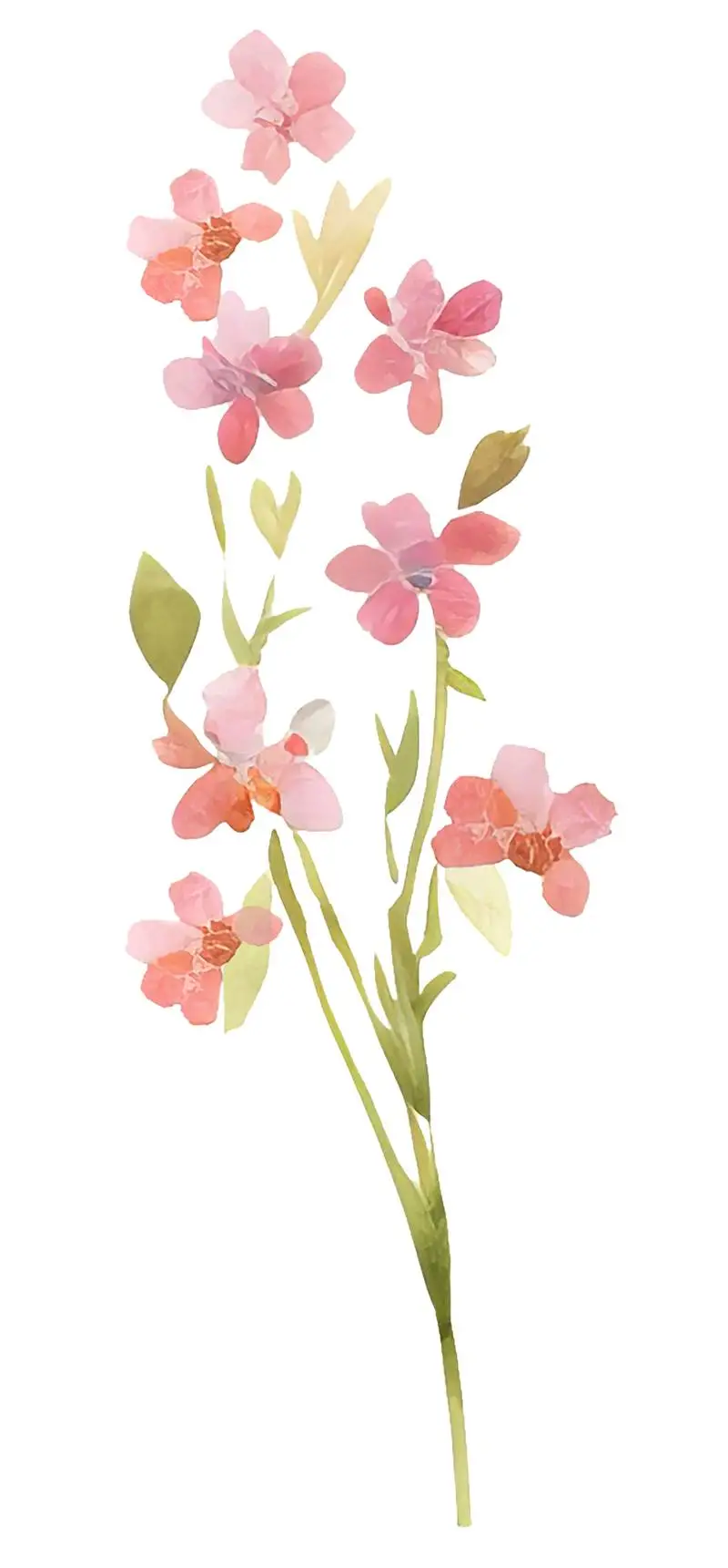 Isolated Watercolour Illustration of Branch with Pink Flowers and Green Leaves on Transparent Background