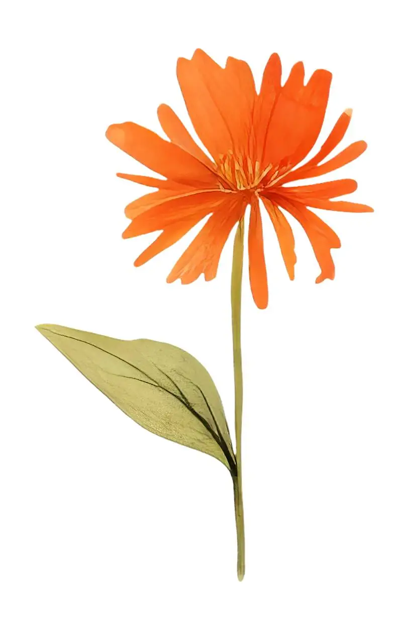 Isolated Watercolour Illustration of Large Orange Flower with Green Leaves on Transparent Background