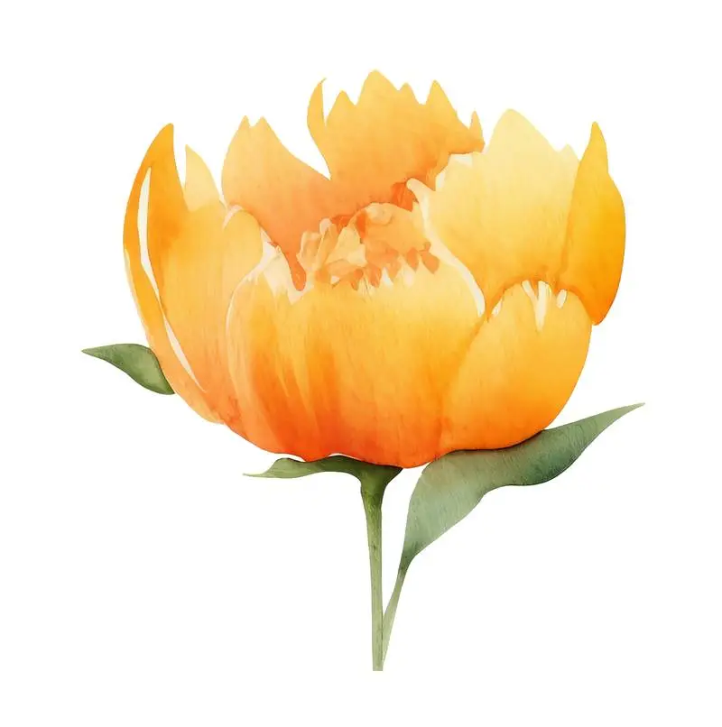 Isolated Watercolour Illustration of Large Orange Peony with Green Stem on Transparent Background